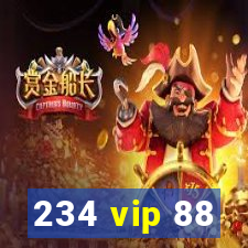 234 vip 88